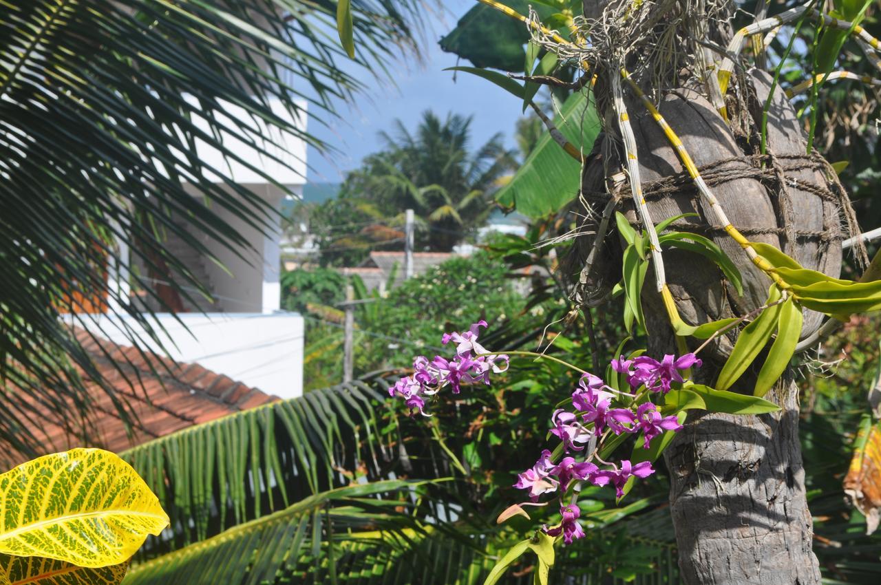 Bentota Orchid House Bed & Breakfast Exterior foto