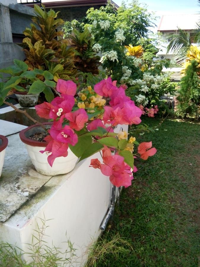 Bentota Orchid House Bed & Breakfast Exterior foto